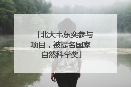 北大韦东奕参与项目，被提名国家自然科学奖