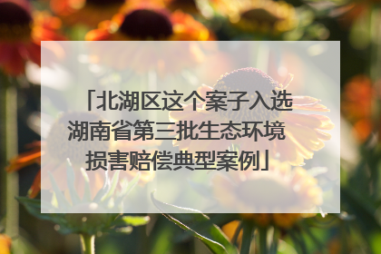 北湖区这个案子入选湖南省第三批生态环境损害赔偿典型案例