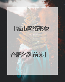城市网络形象合肥名列前茅