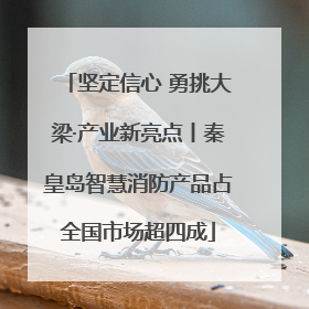 坚定信心 勇挑大梁·产业新亮点丨秦皇岛智慧消防产品占全国市场超四成