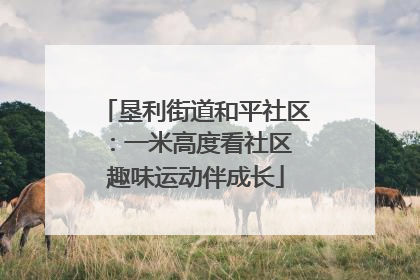垦利街道和平社区：一米高度看社区 趣味运动伴成长