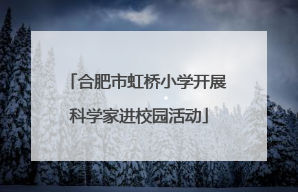 合肥市虹桥小学开展科学家进校园活动