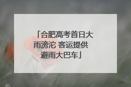 合肥高考首日大雨滂沱 客运提供避雨大巴车