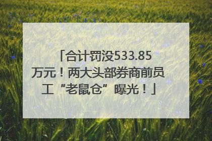 合计罚没533.85万元！两大头部券商前员工“老鼠仓”曝光！