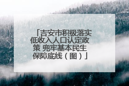 吉安市积极落实低收入人口认定政策 兜牢基本民生保障底线（图）