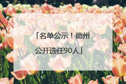 名单公示！德州公开选任90人