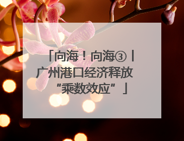 向海！向海③丨广州港口经济释放“乘数效应”