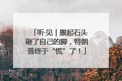 听·见｜搬起石头砸了自己的脚，特朗普终于“慌”了！
