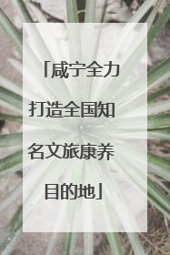 咸宁全力打造全国知名文旅康养目的地