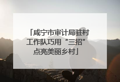 咸宁市审计局驻村工作队巧用“三招”点亮美丽乡村