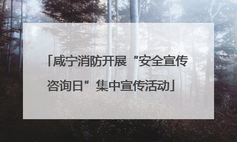 咸宁消防开展“安全宣传咨询日”集中宣传活动