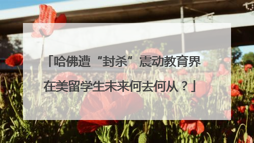 哈佛遭“封杀”震动教育界 在美留学生未来何去何从？
