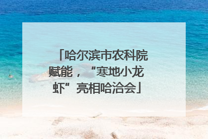 哈尔滨市农科院赋能，“寒地小龙虾”亮相哈洽会