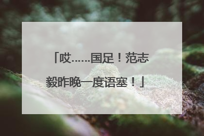 哎……国足！范志毅昨晚一度语塞！