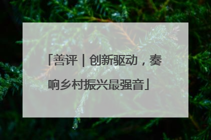 善评｜创新驱动，奏响乡村振兴最强音