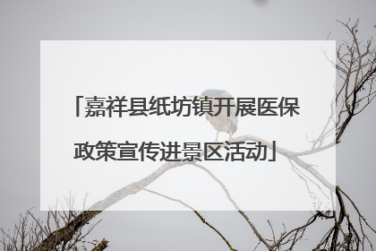 嘉祥县纸坊镇开展医保政策宣传进景区活动