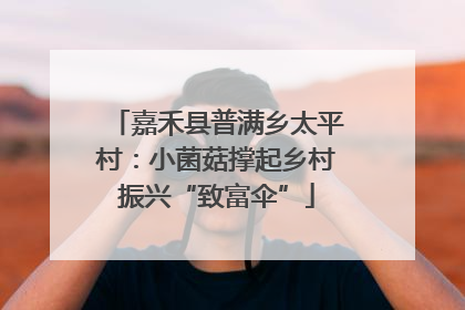 嘉禾县普满乡太平村：小菌菇撑起乡村振兴“致富伞”