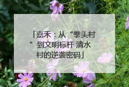嘉禾：从“拳头村”到文明标杆 清水村的逆袭密码