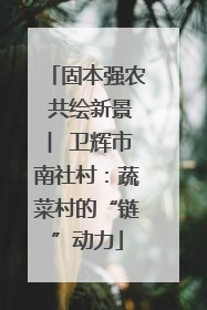 固本强农 共绘新景 ︳卫辉市南社村：蔬菜村的“链”动力