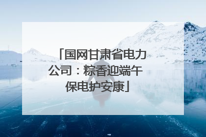 国网甘肃省电力公司：粽香迎端午 保电护安康