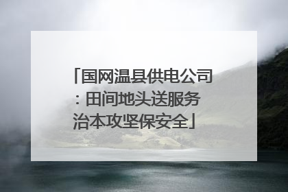 国网温县供电公司：田间地头送服务 治本攻坚保安全