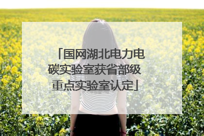 国网湖北电力电碳实验室获省部级重点实验室认定