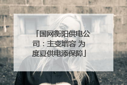 国网衡阳供电公司：主变增容 为度夏供电添保障