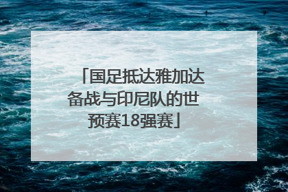 国足抵达雅加达备战与印尼队的世预赛18强赛
