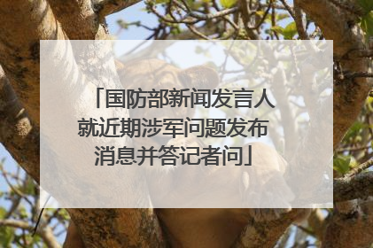 国防部新闻发言人就近期涉军问题发布消息并答记者问