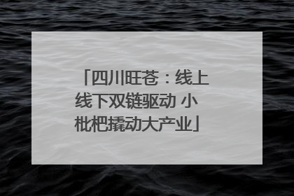四川旺苍：线上线下双链驱动 小枇杷撬动大产业