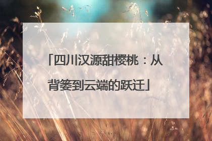 四川汉源甜樱桃：从背篓到云端的跃迁