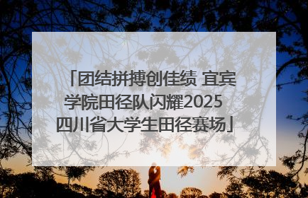 团结拼搏创佳绩 宜宾学院田径队闪耀2025四川省大学生田径赛场