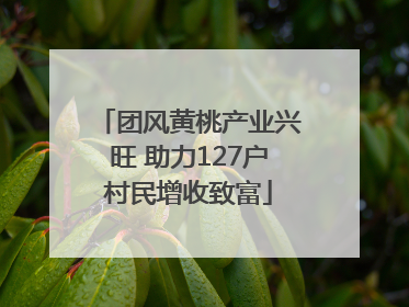 团风黄桃产业兴旺 助力127户村民增收致富