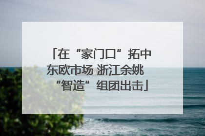 在“家门口”拓中东欧市场 浙江余姚“智造”组团出击