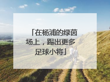 在杨浦的绿茵场上，踢出更多足球小将