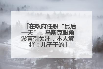 在政府任职“最后一天”，马斯克眼角淤青引关注，本人解释：儿子干的