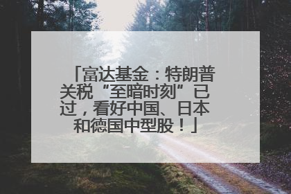 富达基金：特朗普关税“至暗时刻”已过，看好中国、日本和德国中型股！