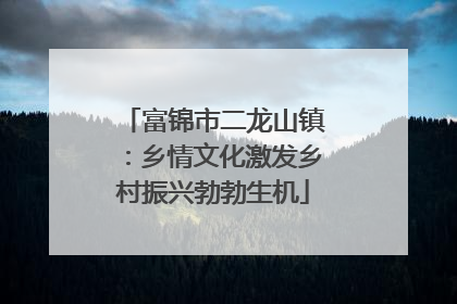 富锦市二龙山镇：乡情文化激发乡村振兴勃勃生机