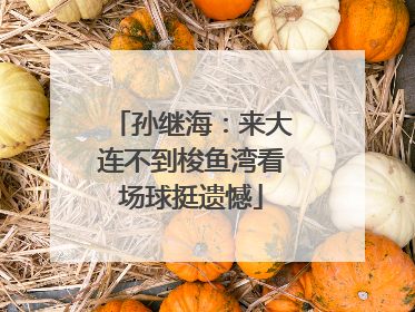 孙继海：来大连不到梭鱼湾看场球挺遗憾