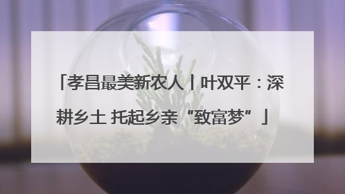 孝昌最美新农人丨叶双平：深耕乡土 托起乡亲“致富梦”