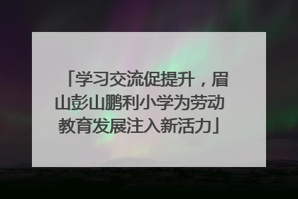 学习交流促提升，眉山彭山鹏利小学为劳动教育发展注入新活力