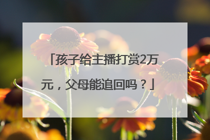孩子给主播打赏2万元，父母能追回吗？