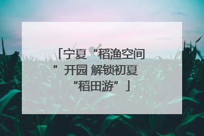 宁夏“稻渔空间”开园 解锁初夏“稻田游”