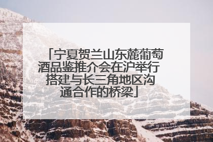宁夏贺兰山东麓葡萄酒品鉴推介会在沪举行 搭建与长三角地区沟通合作的桥梁