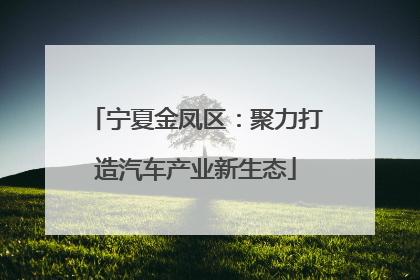 宁夏金凤区：聚力打造汽车产业新生态