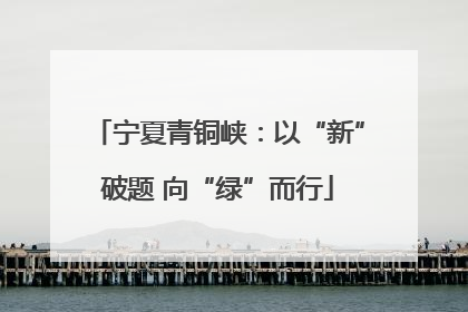 宁夏青铜峡：以“新”破题 向“绿”而行