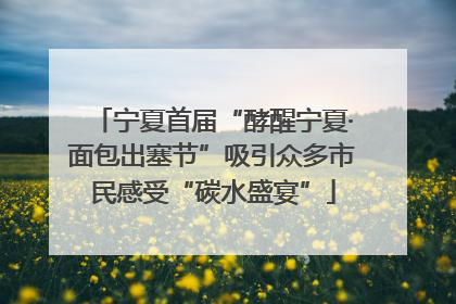 宁夏首届“酵醒宁夏·面包出塞节”吸引众多市民感受“碳水盛宴”