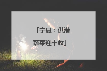 宁夏：供港蔬菜迎丰收
