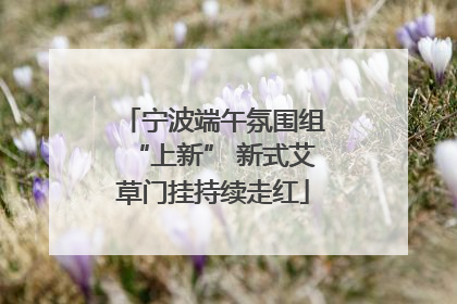 宁波端午氛围组“上新” 新式艾草门挂持续走红