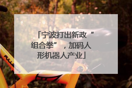 宁波打出新政“组合拳”，加码人形机器人产业